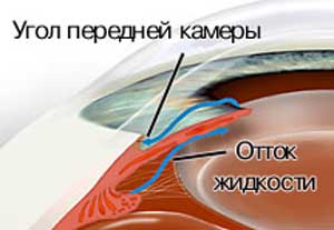 на средеземноморской диете я похудела на